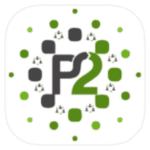 P2Server